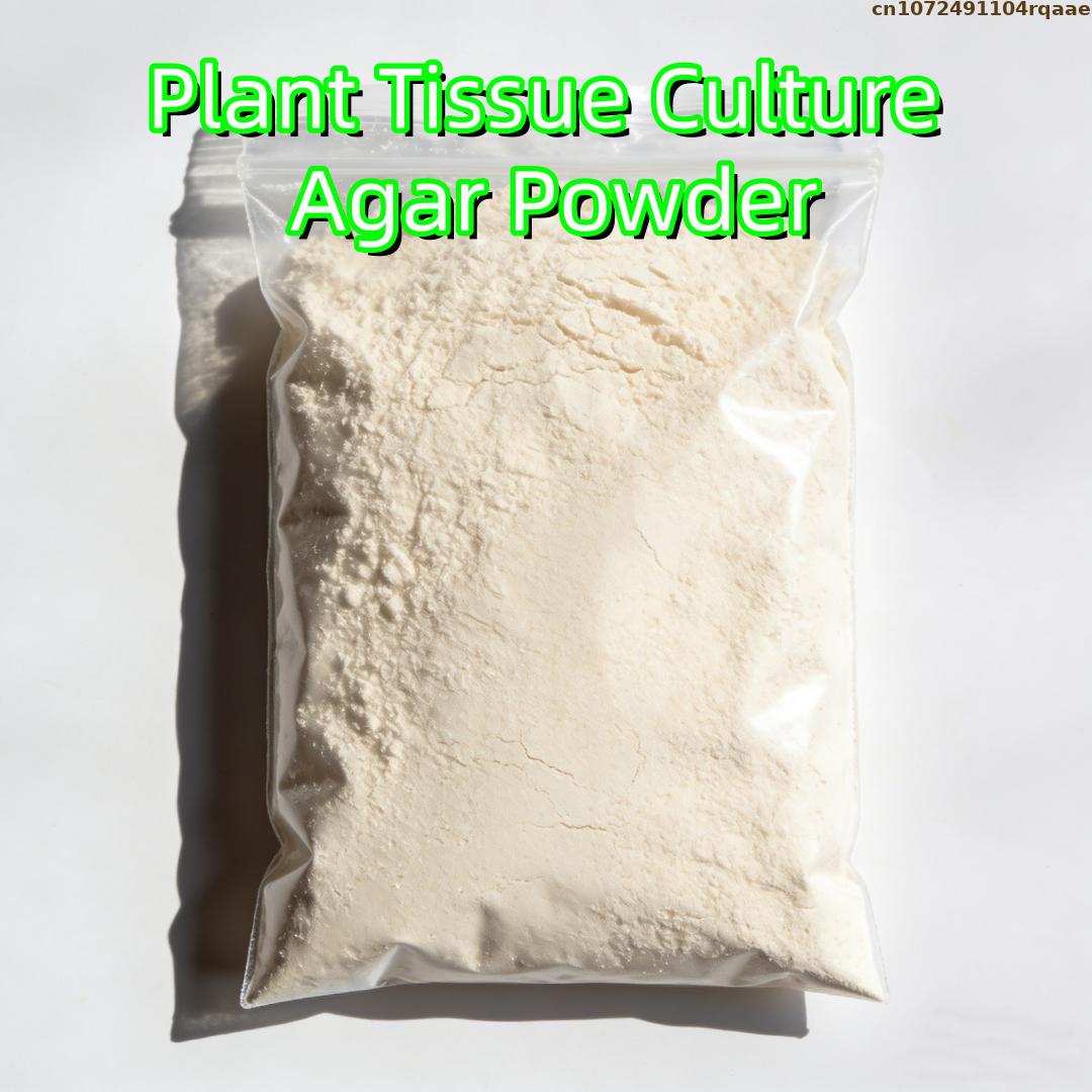 Agar Tissue Culture - Poudre d'agar de qualité supérieure pour