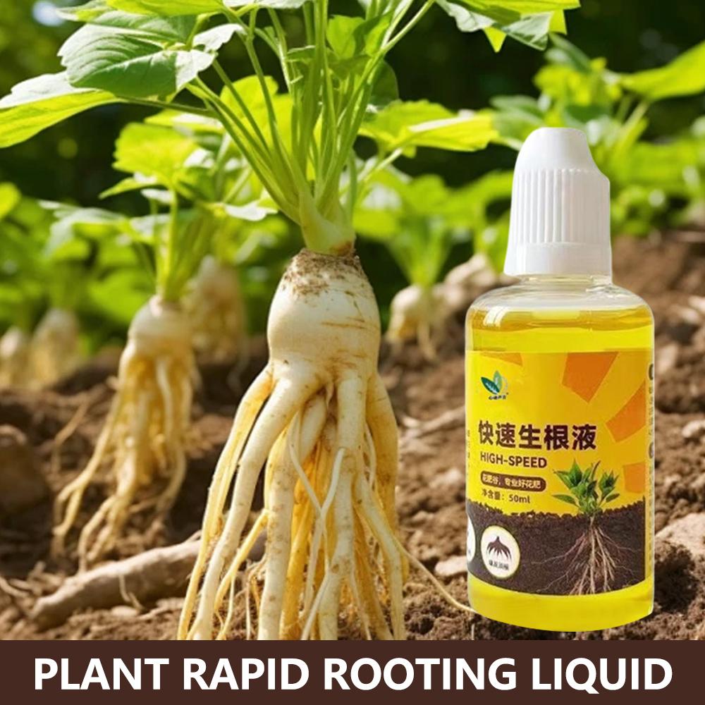 Root Stimulator Liquid - Stimulateur de racines de plantes vertes,