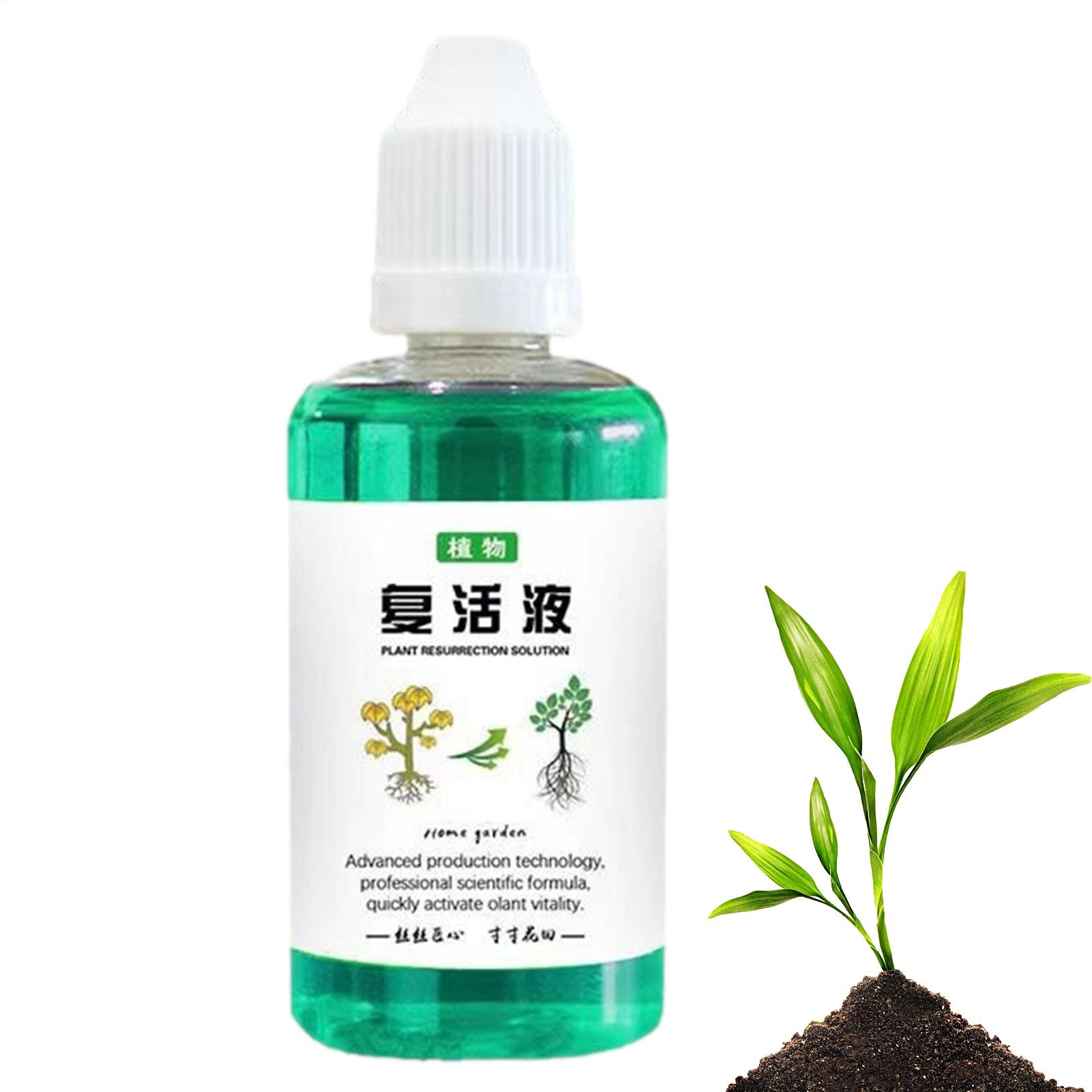 Stimulateur de racines 50 ml,  - Root Stimulator Liquid avis et prix