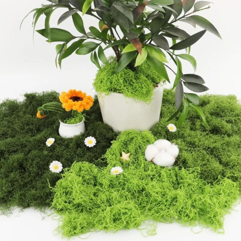 Mousse verte artificielle, fau - Sphagnum Moss Dry avis et prix