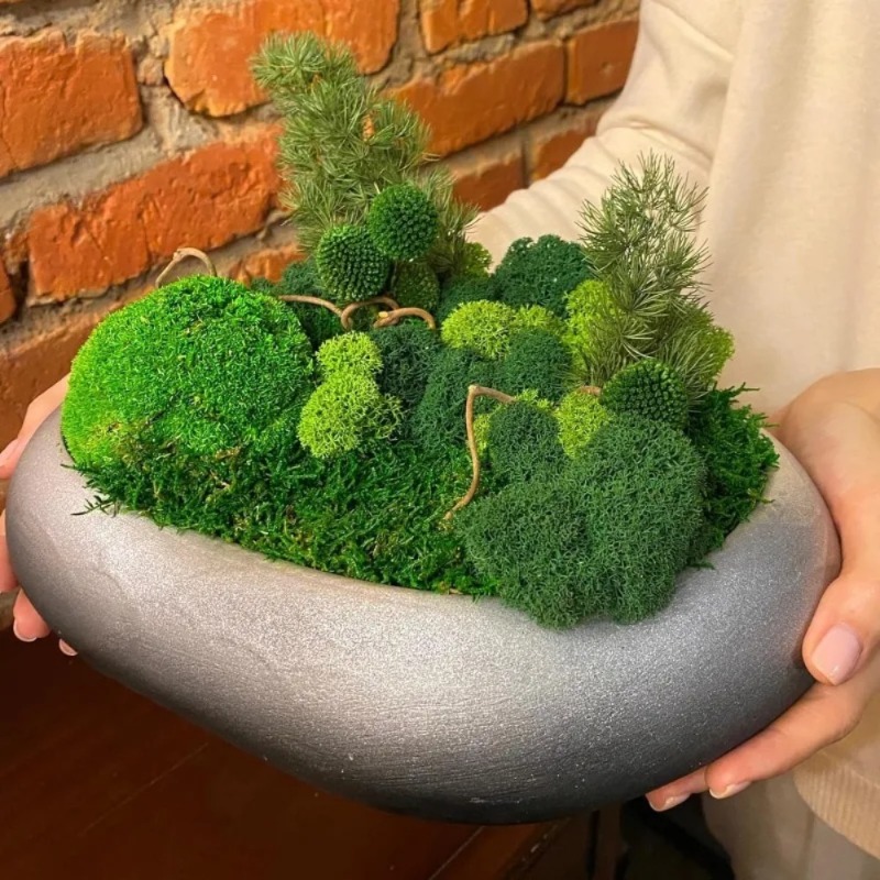 Mousse verte artificielle, fau - Sphagnum Moss Dry avis et prix